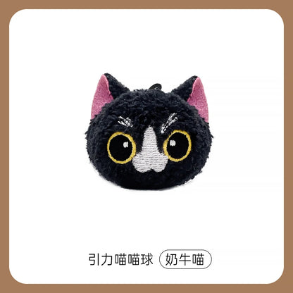 main-01.webp