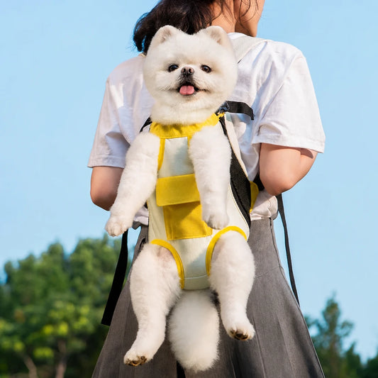 main-03.webp