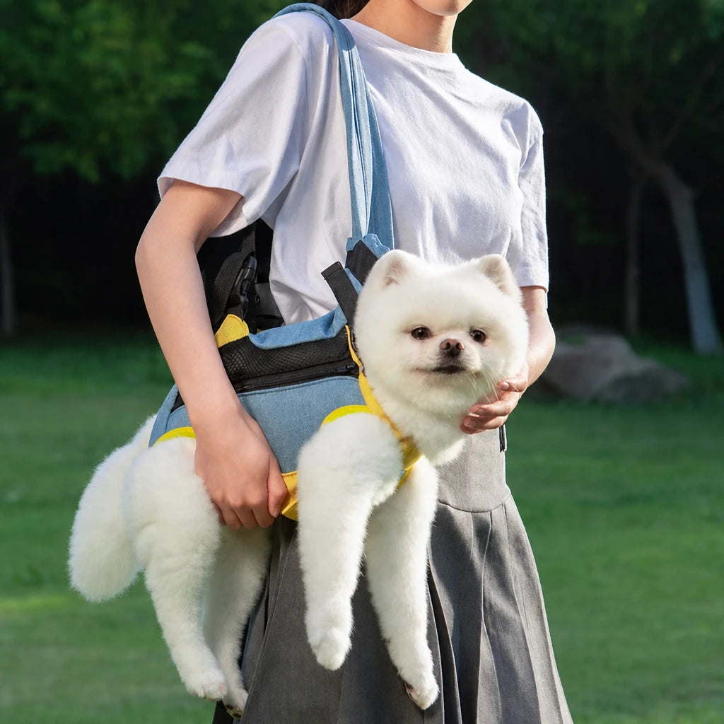 main-04.webp