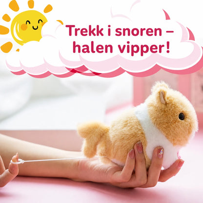 main-04.webp