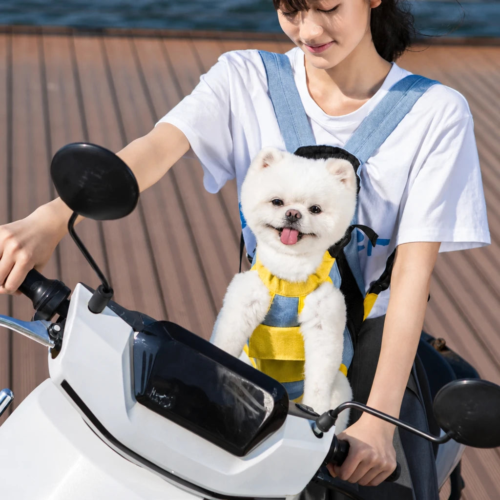 main-06.webp